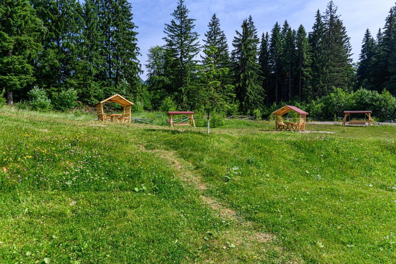 Forest Corner In Silver Mountain Of 波亚纳布拉索夫 外观 照片